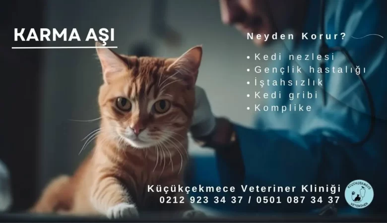 A’dan Z’ye Kedilerde Karma Aşı