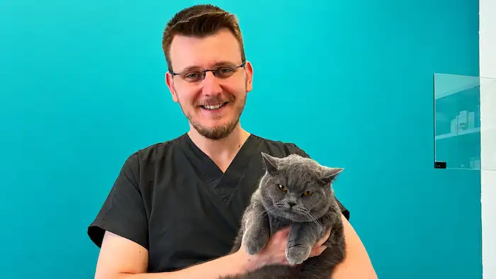 Kedi ve köpekler için koruyucu sağlık kontrolü